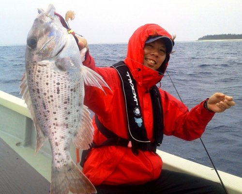 相乗り客を気にせずに、気の合う仲間だけで沖釣りを楽しむことができるのが、何といっても魅力です。長時間沖にでるのが、少し気になる方へは4時間コースをオススメです。