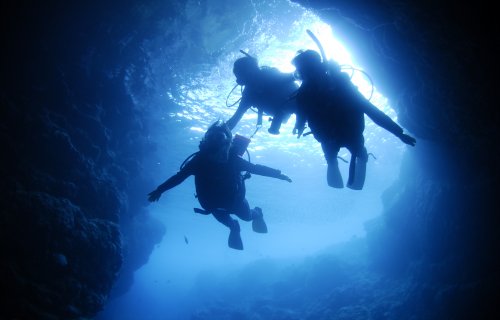 マリンクラブナギの青の洞窟体験ダイビング＋熱帯魚と遊ぶ餌付け体験ダイビング
