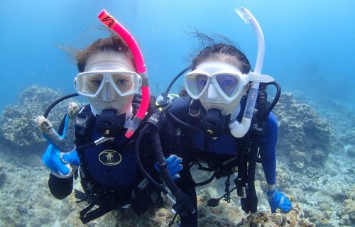石垣島 Diving Shop OHANAの石垣島で体験ダイビング1日コース(ダイビングライセンスが無くてもOK)