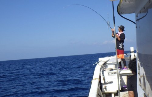海生活のパヤオ釣り半日体験プラン！素人からプロの方まで釣りの醍醐味を幅広く楽しめ大人気のスポットです。
