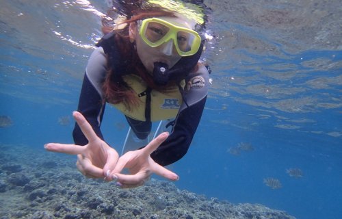 沖縄 アクティビティ Liquid Blueの１グループ貸し切り 珊瑚の海シュノーケル