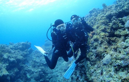 石垣島 Diving Shop OHANAのこれからダイバーになりたい！という方おススメ ライセンス講習 OW講習 3日間